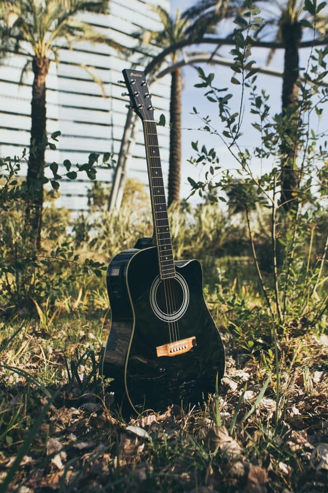 Acoustic Guitar