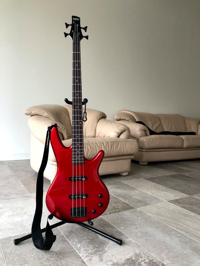Bass Guitar
